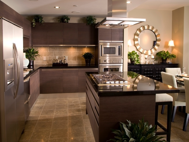 home kitchen, modern, house plants on the counters and tile flooring
