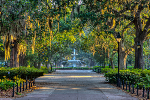 Walkway of Forsyth park in Savannah, GA leading up to a fountain